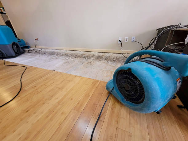 Professional Water Removal technician working in Stewartville, AL